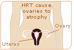 HRT cause ovaries to atrophy